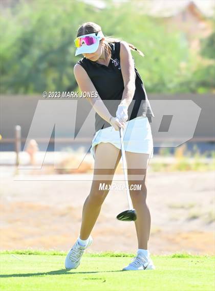 Thumbnail 1 in AIA DI Girls State Championships  photogallery.