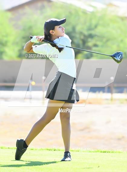 Thumbnail 1 in AIA DI Girls State Championships  photogallery.