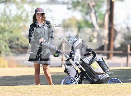 Thumbnail 2 in AIA DI Girls State Championships  photogallery.