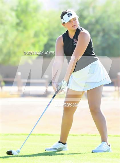 Thumbnail 2 in AIA DI Girls State Championships  photogallery.