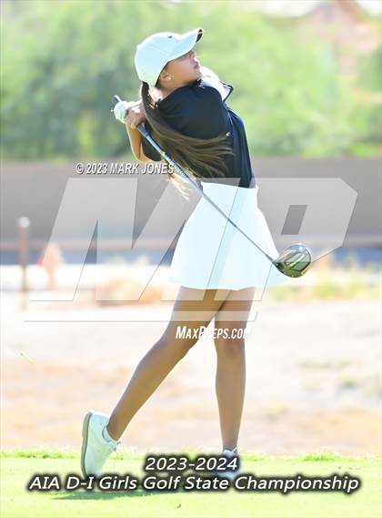 Thumbnail 2 in AIA DI Girls State Championships  photogallery.