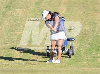 Thumbnail 1 in AIA DI Girls State Championships  photogallery.