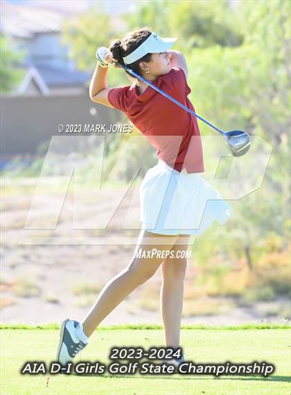 Thumbnail 2 in AIA DI Girls State Championships  photogallery.