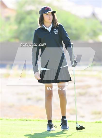 Thumbnail 2 in AIA DI Girls State Championships  photogallery.
