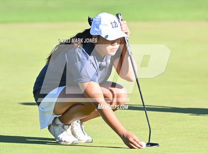 Thumbnail 1 in AIA DI Girls State Championships  photogallery.