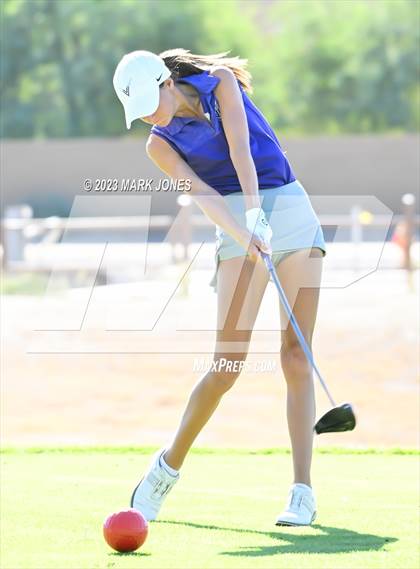Thumbnail 1 in AIA DI Girls State Championships  photogallery.