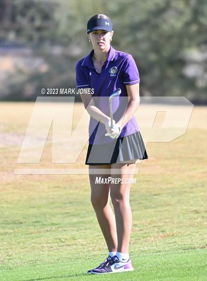 Thumbnail 2 in AIA DI Girls State Championships  photogallery.