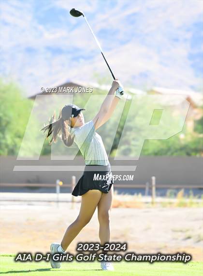 Thumbnail 2 in AIA DI Girls State Championships  photogallery.