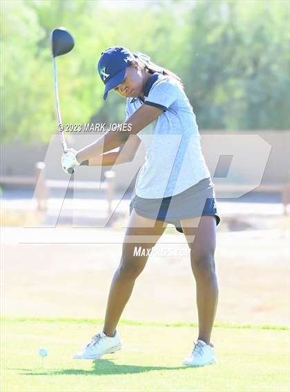 Thumbnail 2 in AIA DI Girls State Championships  photogallery.