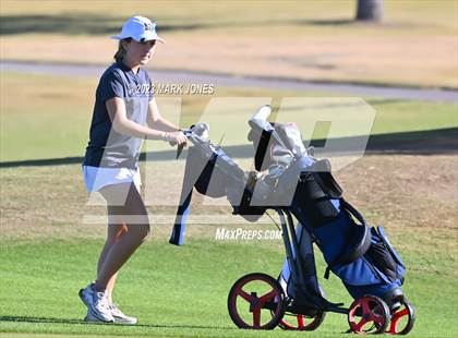 Thumbnail 1 in AIA DI Girls State Championships  photogallery.