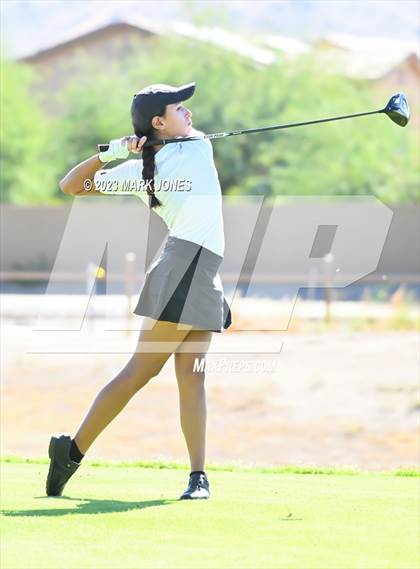 Thumbnail 2 in AIA DI Girls State Championships  photogallery.