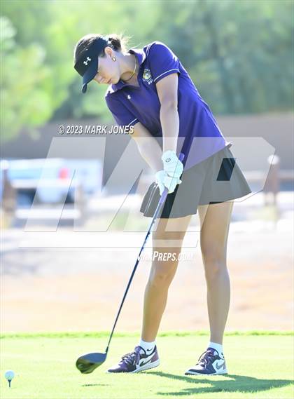 Thumbnail 1 in AIA DI Girls State Championships  photogallery.