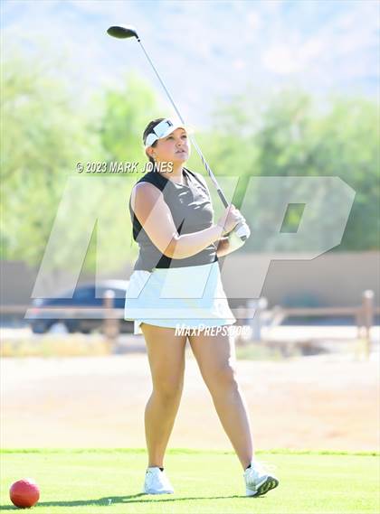 Thumbnail 2 in AIA DI Girls State Championships  photogallery.