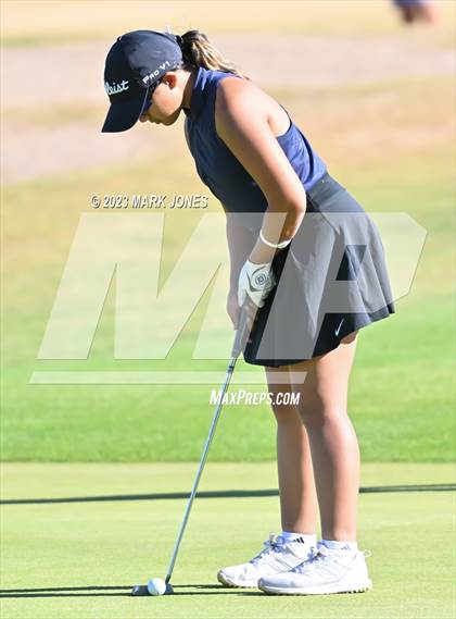 Thumbnail 2 in AIA DI Girls State Championships  photogallery.