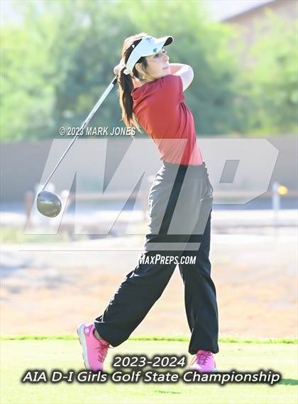 Thumbnail 1 in AIA DI Girls State Championships  photogallery.
