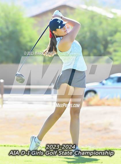Thumbnail 1 in AIA DI Girls State Championships  photogallery.