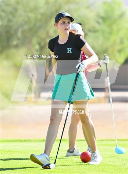 Thumbnail 1 in AIA DI Girls State Championships  photogallery.