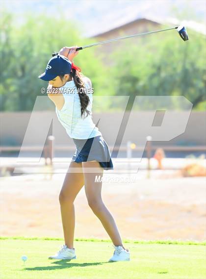 Thumbnail 1 in AIA DI Girls State Championships  photogallery.