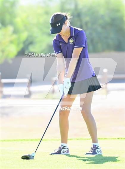 Thumbnail 1 in AIA DI Girls State Championships  photogallery.