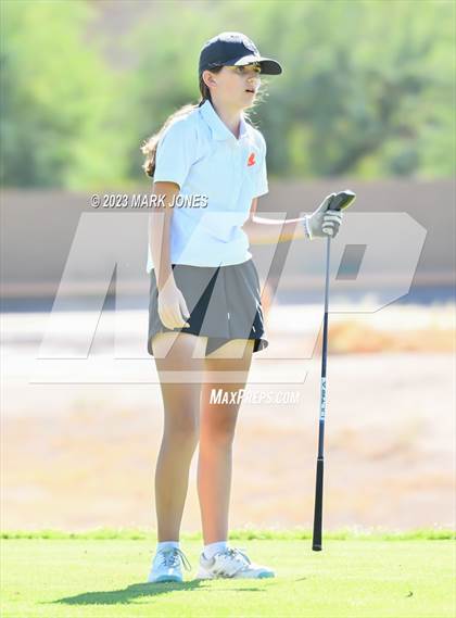Thumbnail 3 in AIA DI Girls State Championships  photogallery.