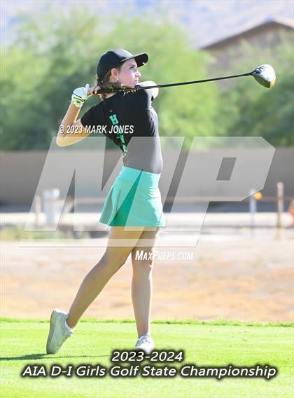 Thumbnail 3 in AIA DI Girls State Championships  photogallery.