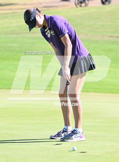 Thumbnail 2 in AIA DI Girls State Championships  photogallery.