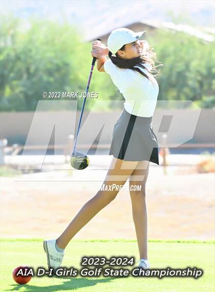 Thumbnail 2 in AIA DI Girls State Championships  photogallery.
