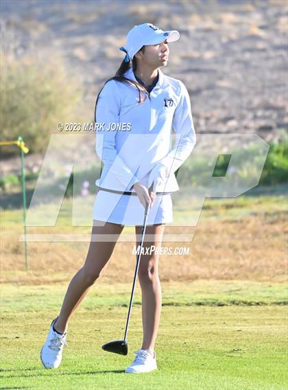 Thumbnail 1 in AIA DI Girls State Championships  photogallery.