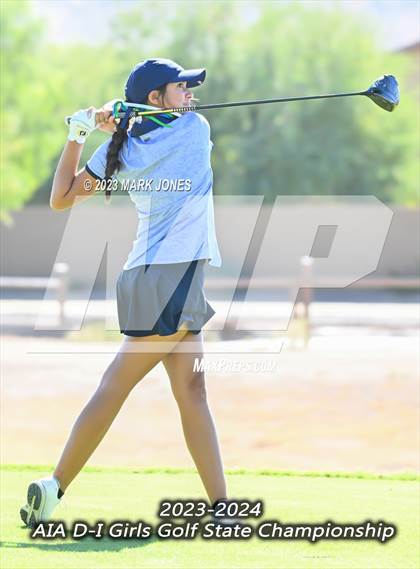 Thumbnail 2 in AIA DI Girls State Championships  photogallery.