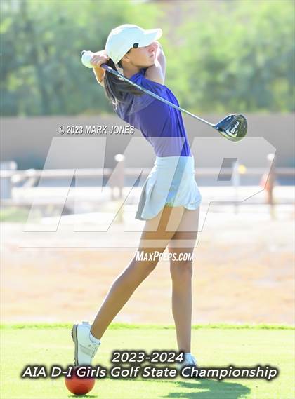 Thumbnail 3 in AIA DI Girls State Championships  photogallery.