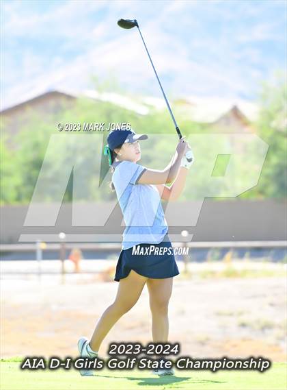 Thumbnail 2 in AIA DI Girls State Championships  photogallery.