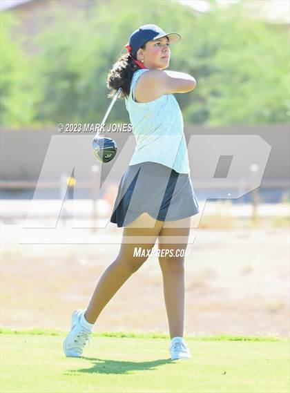 Thumbnail 1 in AIA DI Girls State Championships  photogallery.