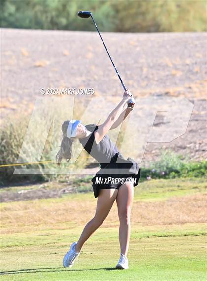 Thumbnail 1 in AIA DI Girls State Championships  photogallery.