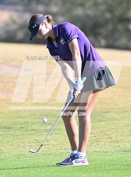 Thumbnail 3 in AIA DI Girls State Championships  photogallery.