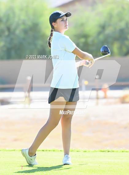 Thumbnail 3 in AIA DI Girls State Championships  photogallery.
