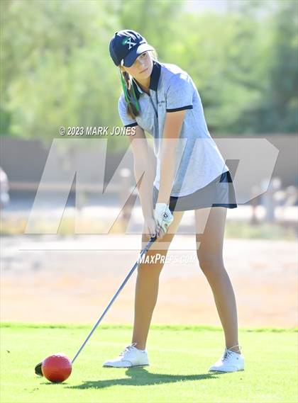 Thumbnail 2 in AIA DI Girls State Championships  photogallery.