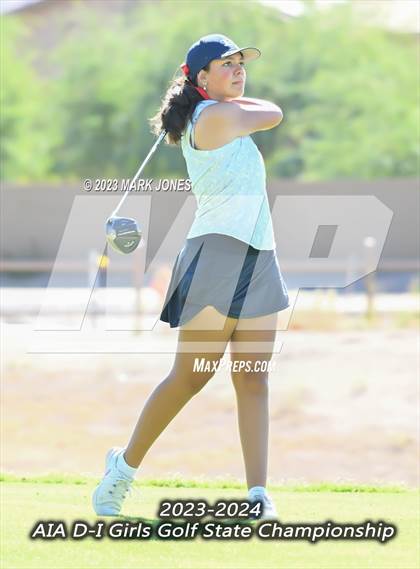 Thumbnail 3 in AIA DI Girls State Championships  photogallery.