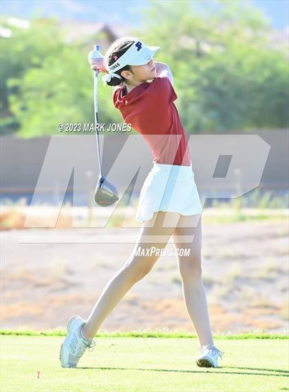 Thumbnail 2 in AIA DI Girls State Championships  photogallery.