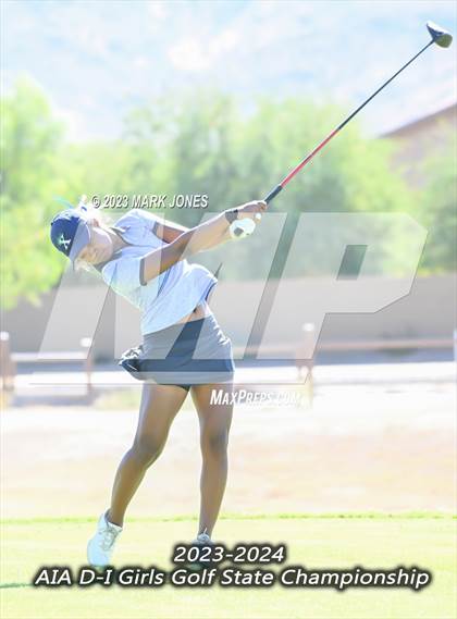 Thumbnail 3 in AIA DI Girls State Championships  photogallery.