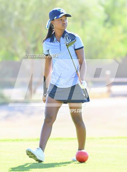 Thumbnail 1 in AIA DI Girls State Championships  photogallery.