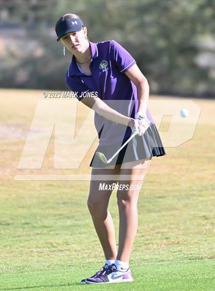 Thumbnail 1 in AIA DI Girls State Championships  photogallery.