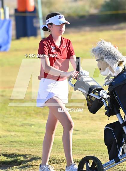 Thumbnail 2 in AIA DI Girls State Championships  photogallery.