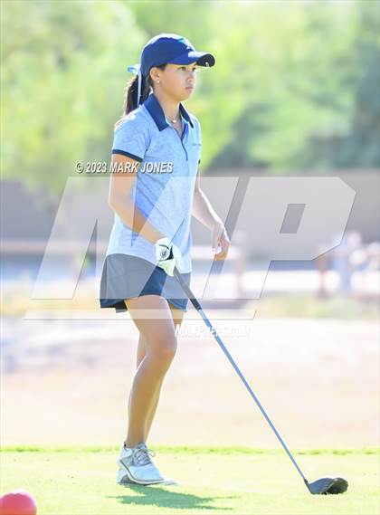 Thumbnail 2 in AIA DI Girls State Championships  photogallery.