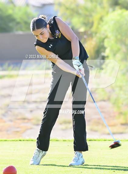 Thumbnail 3 in AIA DI Girls State Championships  photogallery.