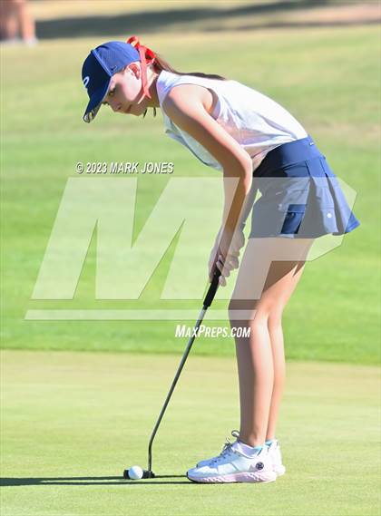 Thumbnail 3 in AIA DI Girls State Championships  photogallery.