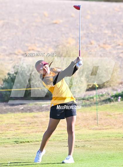 Thumbnail 1 in AIA DI Girls State Championships  photogallery.