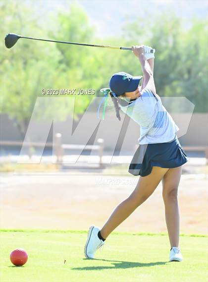 Thumbnail 1 in AIA DI Girls State Championships  photogallery.