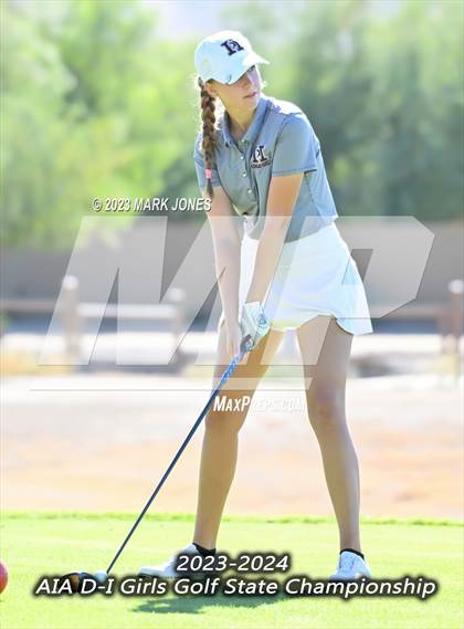 Thumbnail 3 in AIA DI Girls State Championships  photogallery.