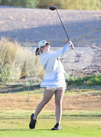 Thumbnail 3 in AIA DI Girls State Championships  photogallery.