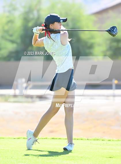 Thumbnail 1 in AIA DI Girls State Championships  photogallery.
